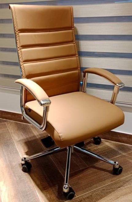 Director Chair