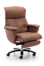Director Chair