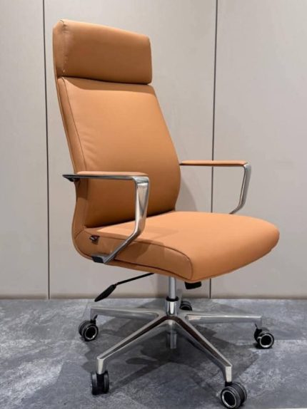 Director Chair