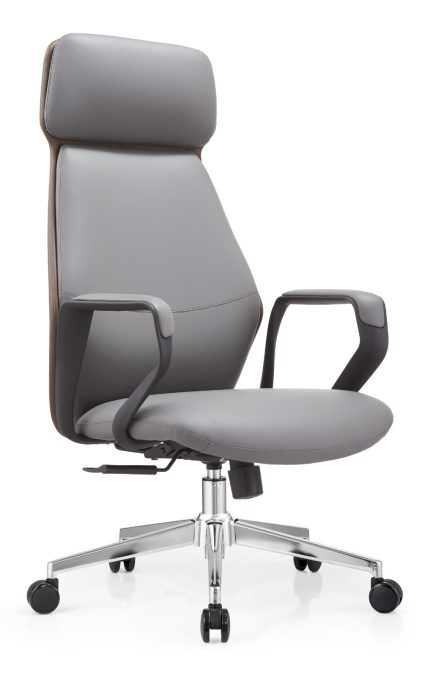 Director Chair