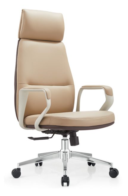 Director Chair