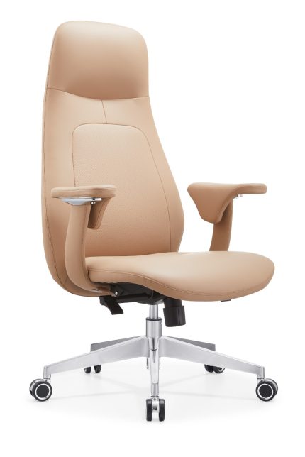 Director Chair