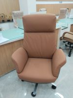 Director Chair