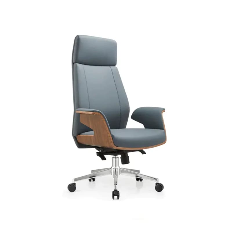 client chair (21) Director Chair - Image 1