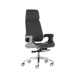 Director Chair