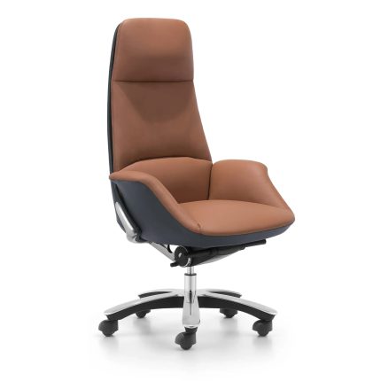 Director Chair